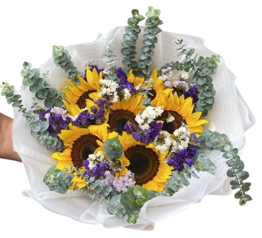Girasol Encantado