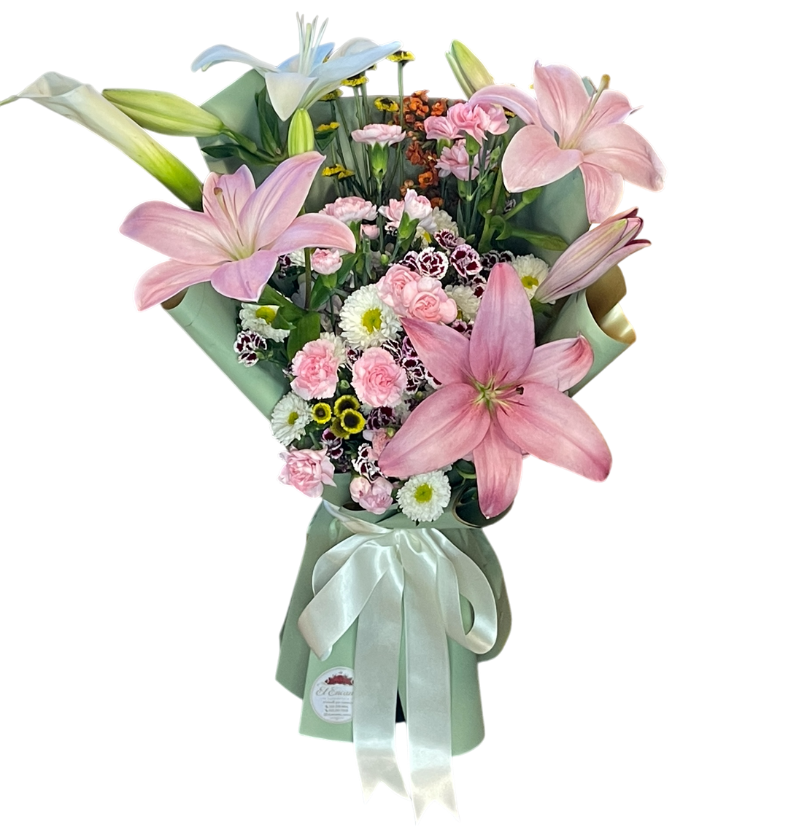 Lilys Lolita